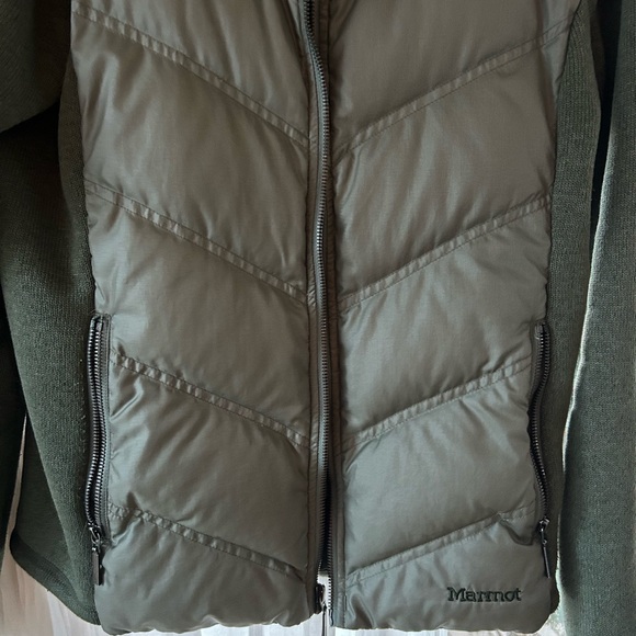 Marmot - Picture 3 of 4